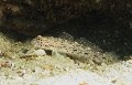 IMG_2431 (2)